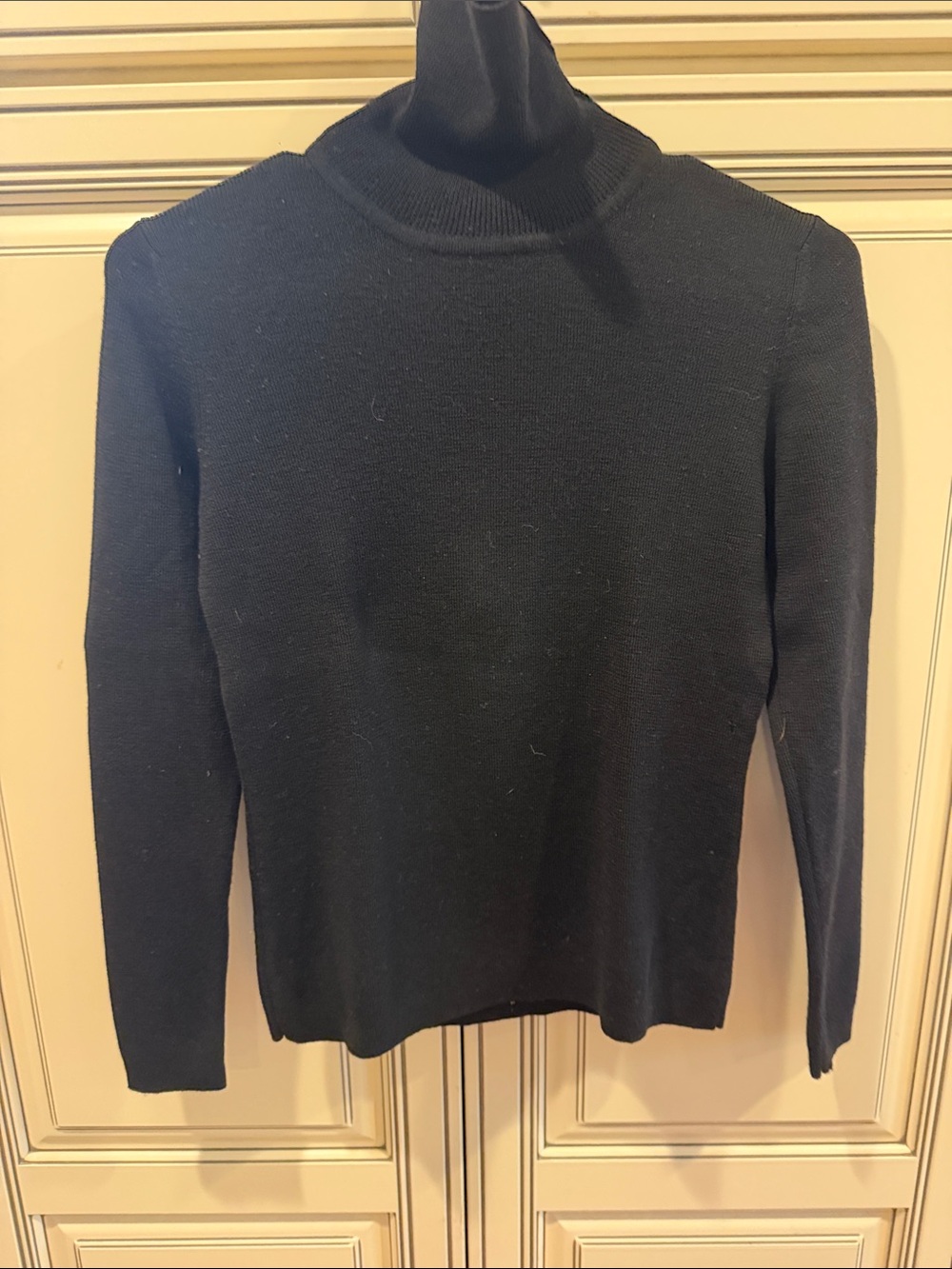 Ann Taylor Black Merino Wool Turtleneck